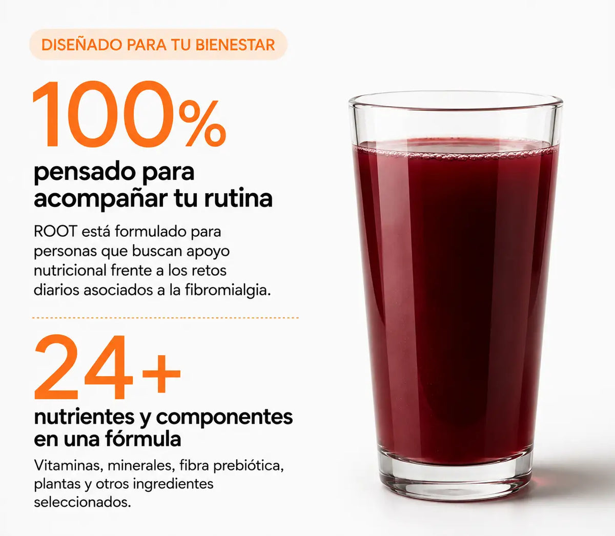 ROOT MindFoods®| Nutrición Funcional