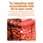 ROOT Mind Foods — Bebida Digestiva Natural