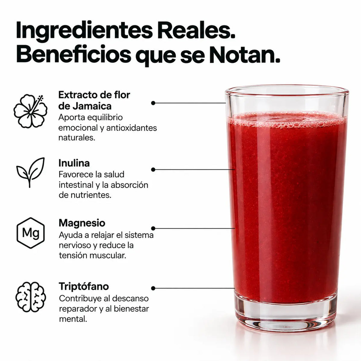 ROOT MindFoods®| Nutrición Funcional